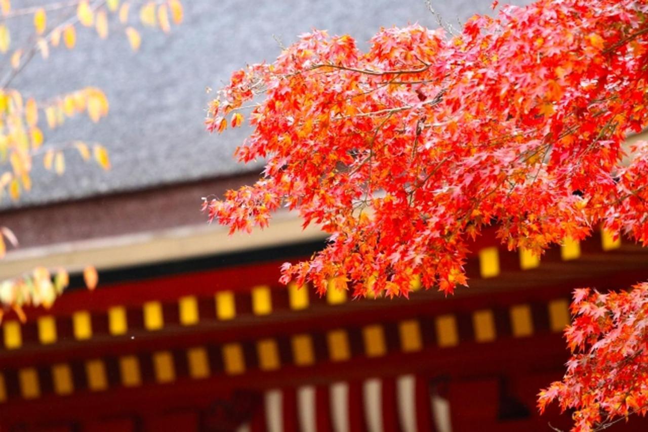 Stay Sakura Kyoto Gion Miyagawacho Ngoại thất bức ảnh